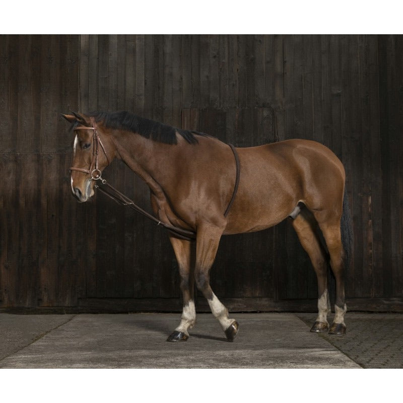 Norton gentle stretching lunging aid