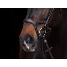 Load image into Gallery viewer, Hkm anatomic sports bridle
