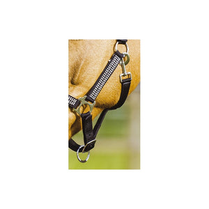 Norton diamond headcollar