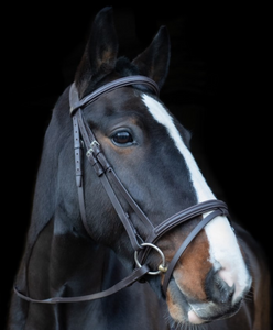 Cameo core collection flash bridle