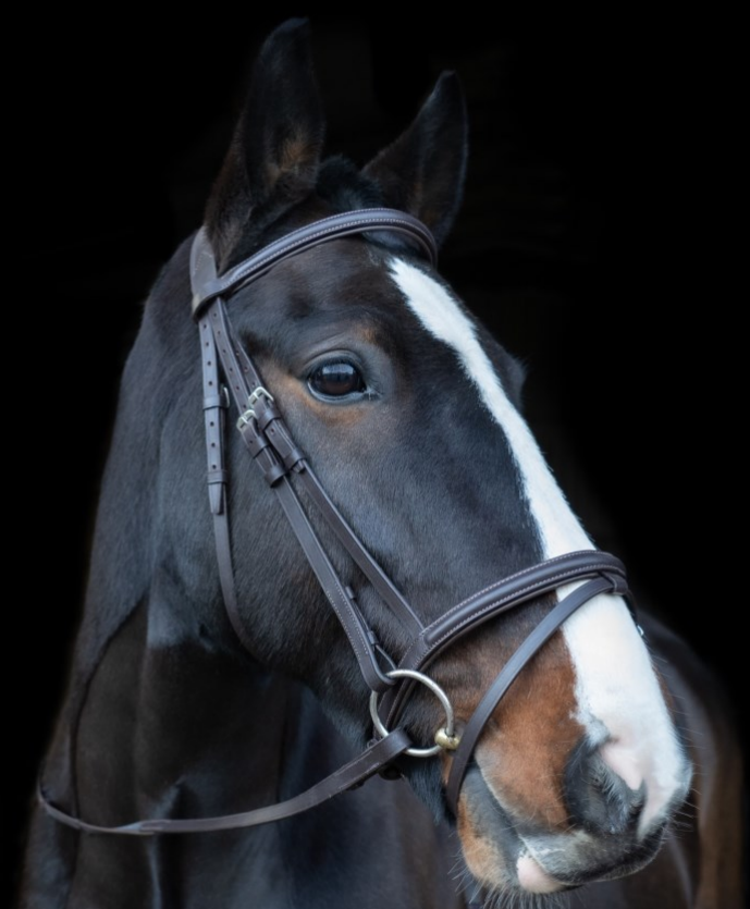 Cameo core collection flash bridle