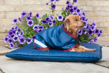 Load image into Gallery viewer, Waterproof dog coat
