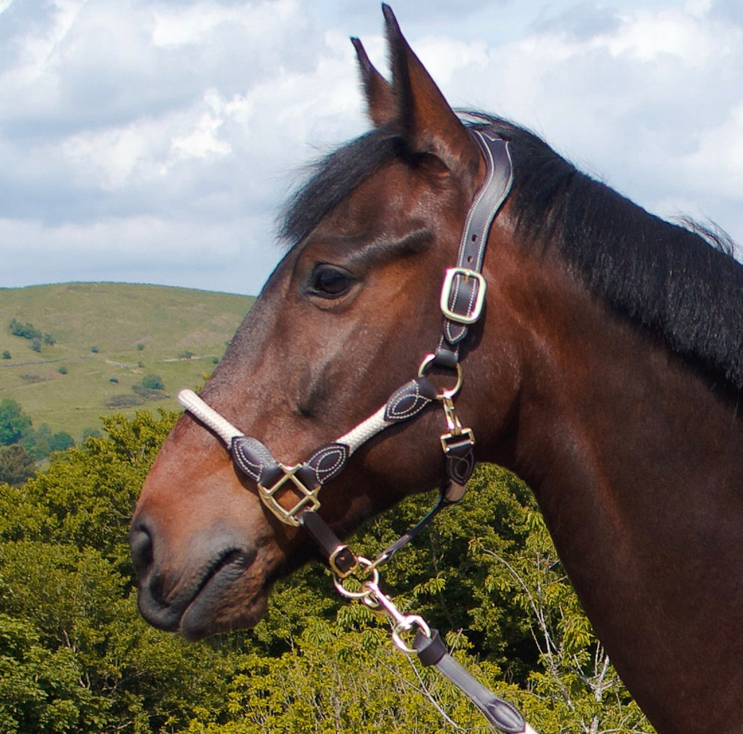 Cameo leather/rope natural headcollar