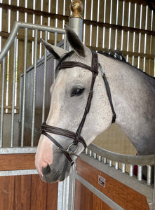 Bridle with clip throat lash