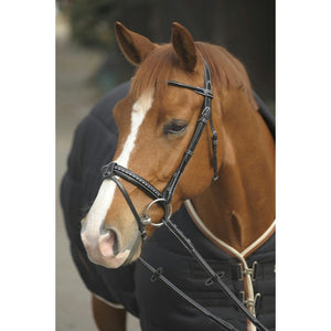 Penelope point sellier bridle