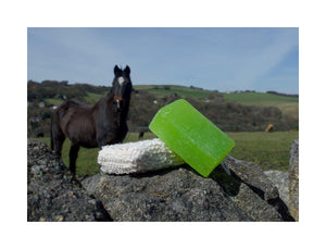 Vegan horse soap