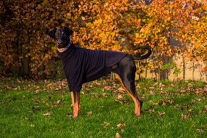 Dog fleece coat