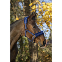 Load image into Gallery viewer, Norton fluffy headcollar
