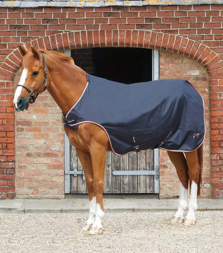 PE horse walker rug