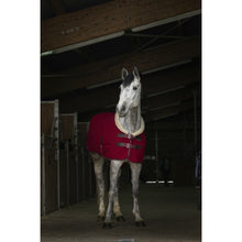 Load image into Gallery viewer, Equitheme teddy polar fleece
