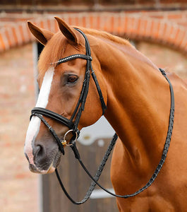 PE Bellissima Crank Bridle with Diamante Browband