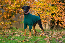Load image into Gallery viewer, Dog fleece coat
