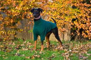 Dog fleece coat
