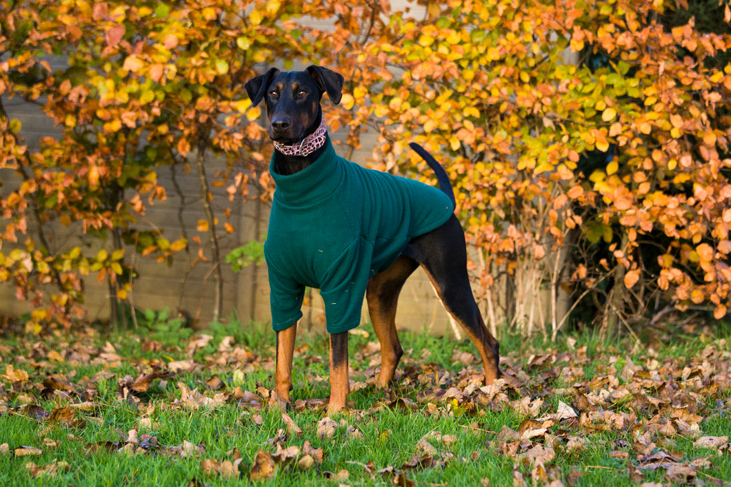 Dog fleece coat