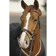 Load image into Gallery viewer, Penelope point sellier bridle
