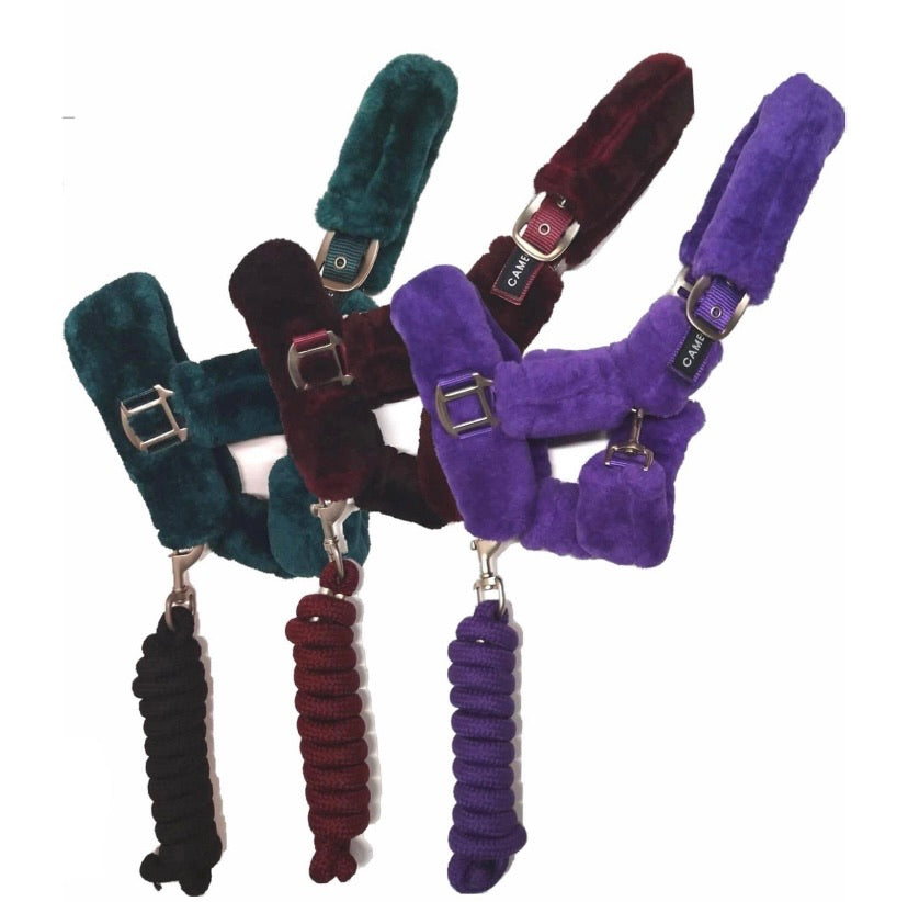 Cameo headcollar and rope sets